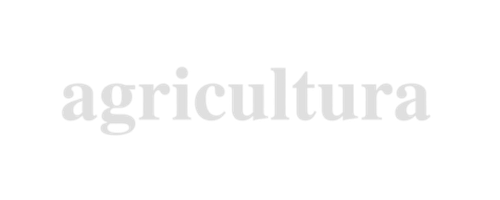 feature-item-4