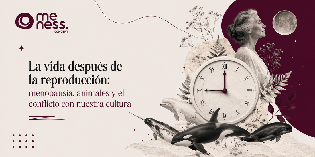 La vida después de la reproducción: menopausia, animales y el conflicto con nuestra cultura