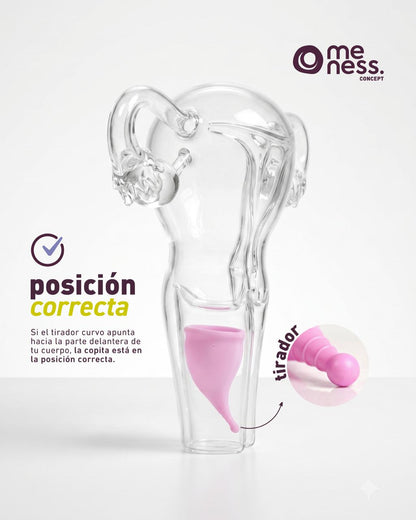 Copa Menstrual Meness con Nanopartículas de Cobre